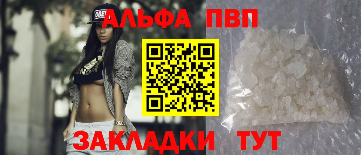 Альфа ПВП СК КРИС Кировск
