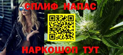 дмт Гай