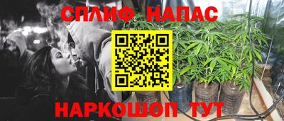 дмт Гай