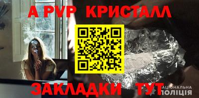 дмт Гай