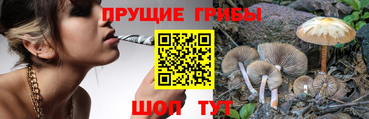 Псилоцибиновые грибы прущие грибы  Вход с VPN  Кировск 